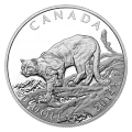 2014 $20 Cougar – 1 oz Fine Silver 3-Coin Set - Image 5