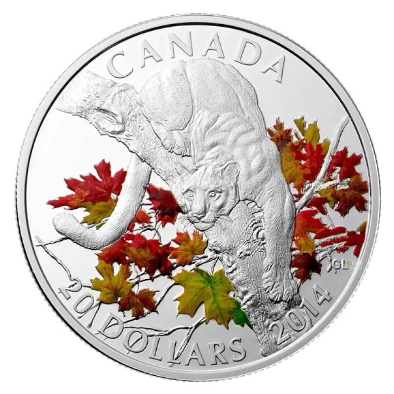 2014 $20 Cougar – 1 oz Fine Silver 3-Coin Set - Image 3