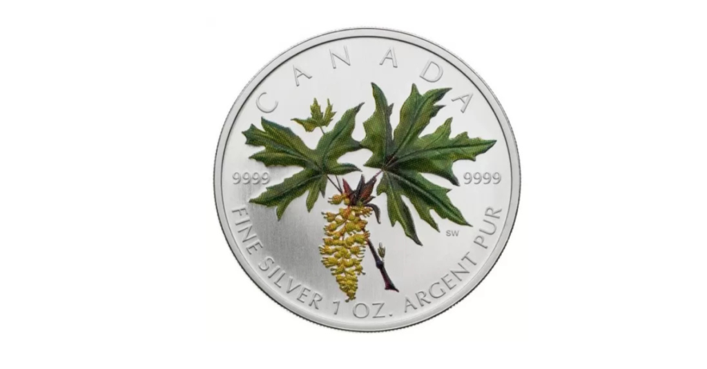 2005 Canada $5 Coloured Silver Maple Leaf - Bigleaf Maple 1 oz Fine Silver Coin