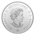 2021 $100 “Our National Colours” – 10 oz Pure Silver Coin - Image 4