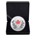 2021 $100 “Our National Colours” – 10 oz Pure Silver Coin - Image 5